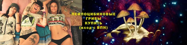 гидра Нязепетровск