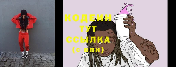 гидра Нязепетровск