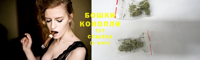 МДПВ Няндома