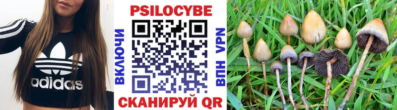 Галлюциногенные грибы мухоморы  Волжск 
