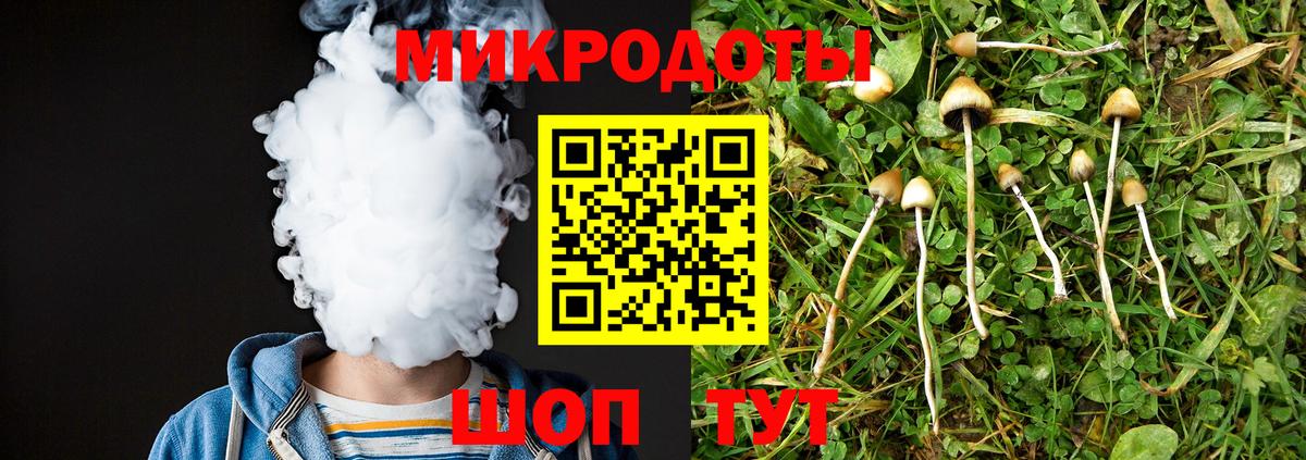 Псилоцибиновые грибы ЛСД Волжск