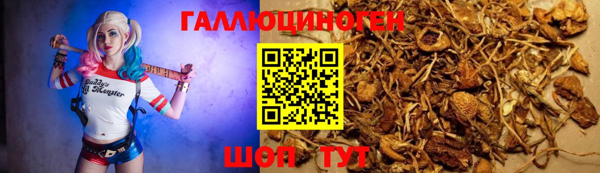 Псилоцибиновые грибы MAGIC MUSHROOMS  Волжск 